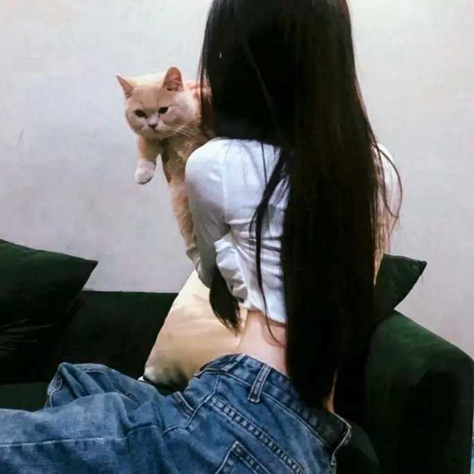 世界第一号探长